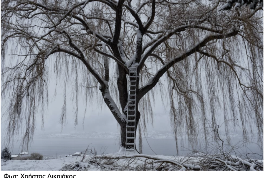 momus xristos diakakos